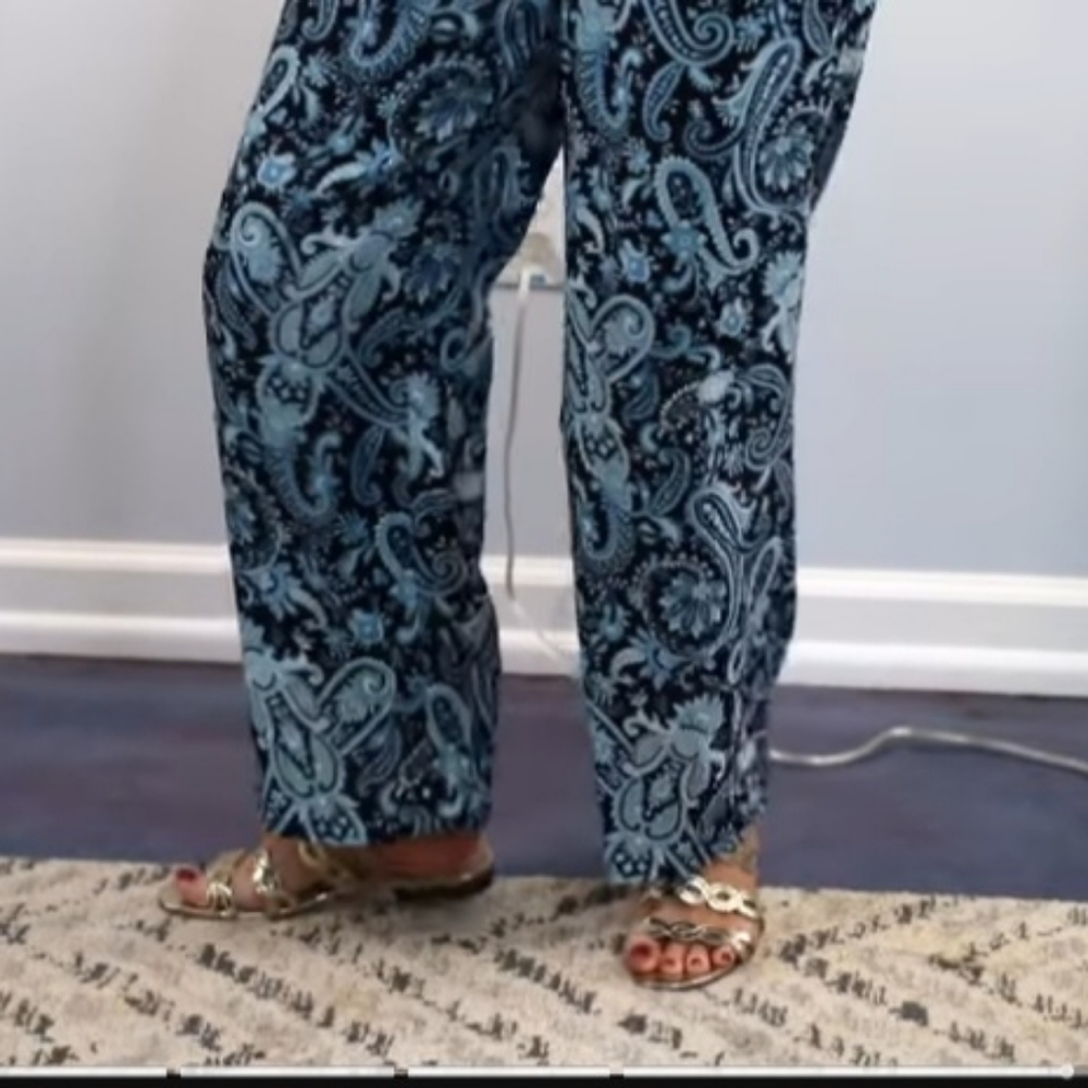Ann Taylor NWOT WIDE STRAIGHT LEG RELAXED PALAZZO type Paisley Blue Size…
